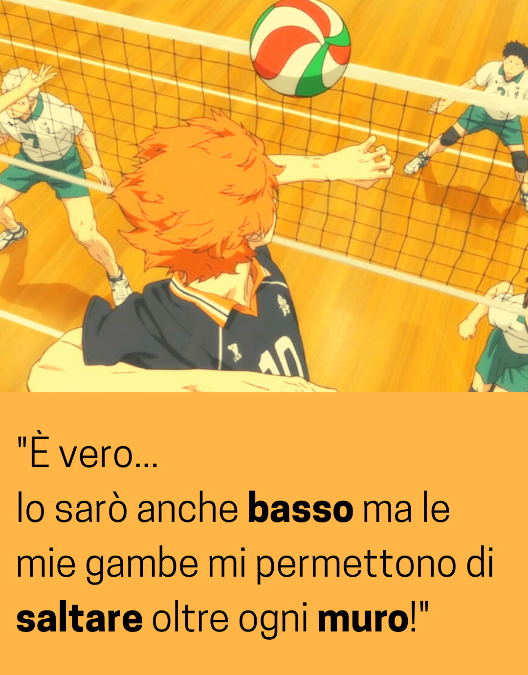 Citazioni Hinata Shoyo 3