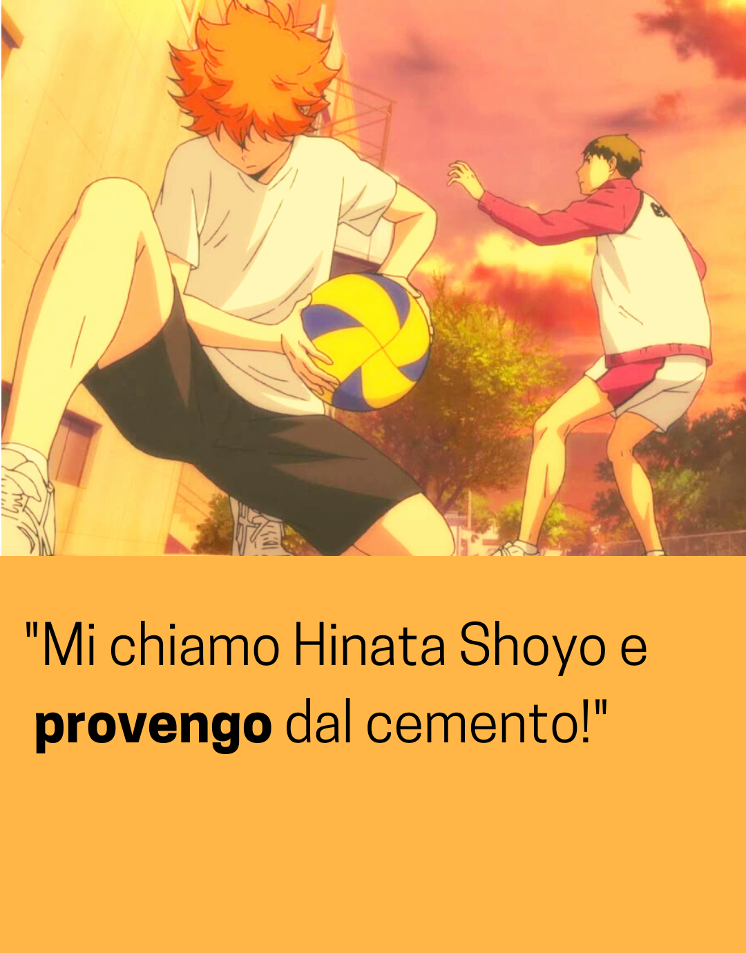 Citazioni Hinata Shoyo